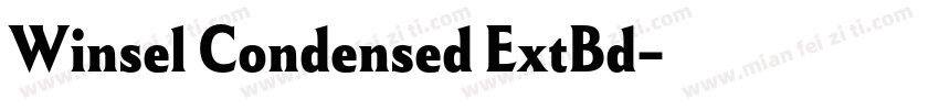 Winsel Condensed ExtBd字体转换